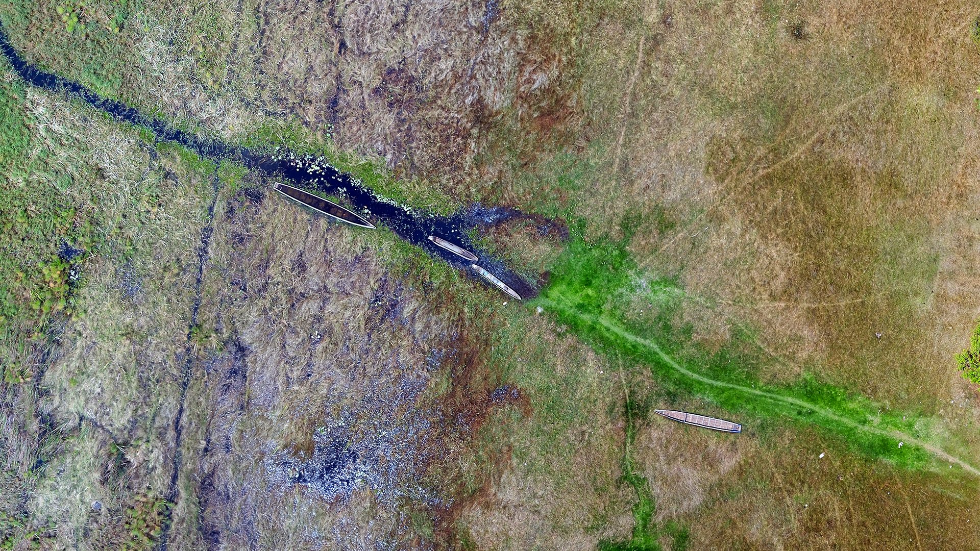 Fishing boats in a wetland along the shores of Kafue Gorge reservoir [credits: ATEC3D]